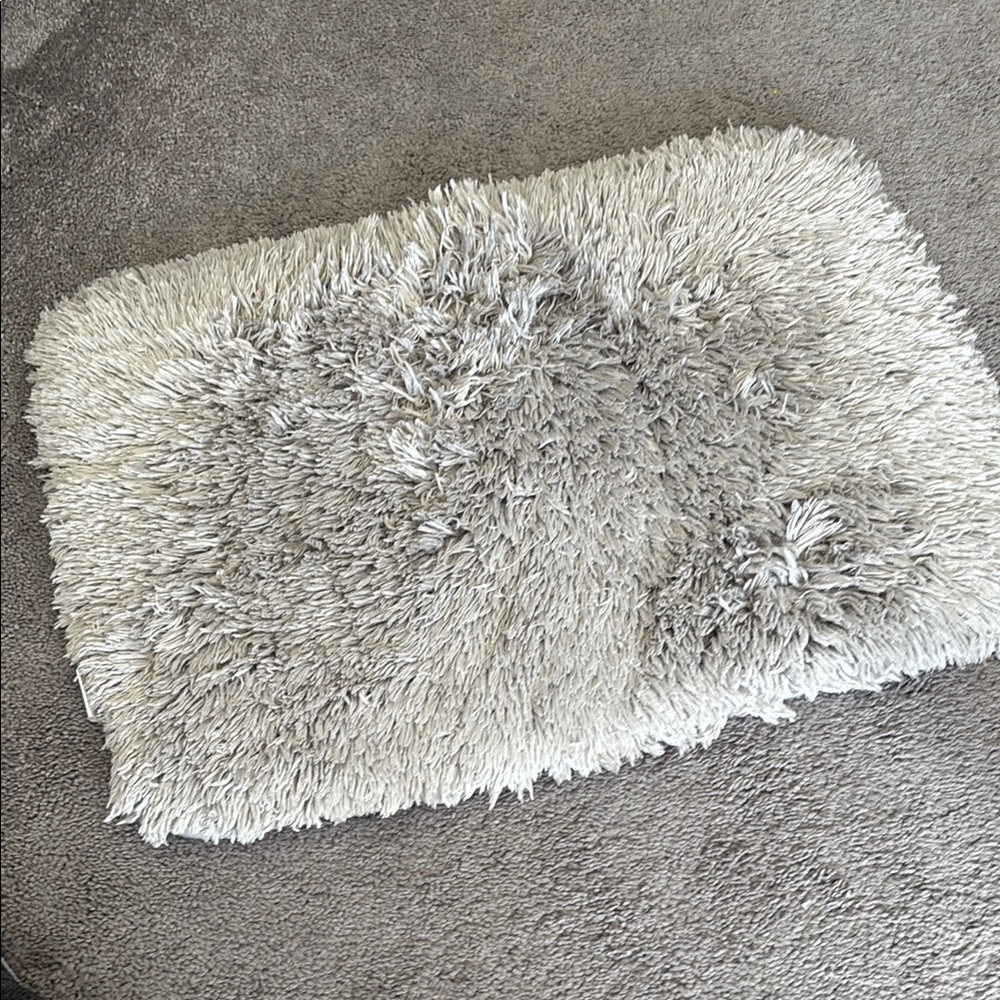 Luxurious Gray Shag Rug